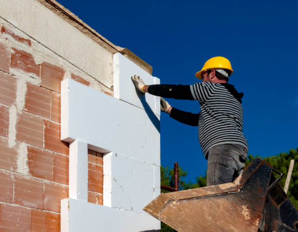Best Cellulose Insulation in Hden Springs, ID
