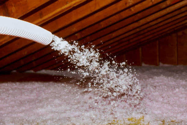 Best Energy Efficiency Insulation in Hden Springs, ID