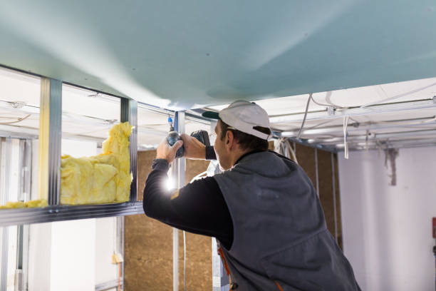 Best Residential Insulation in Hden Springs, ID