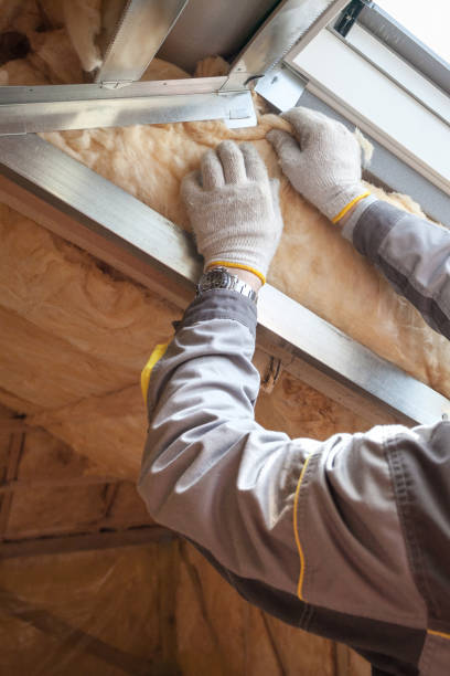 Best Insulation Maintenance and Repair in Hden Springs, ID
